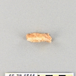 539494