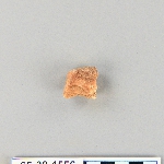 539518