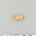 539538