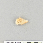 539542