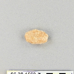 539544