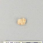 539590
