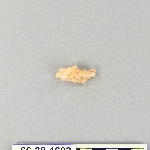 539610