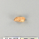 539618