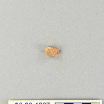 539621