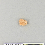 539648