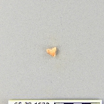 539666