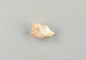 66-38-1753