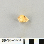 540521