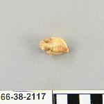 540559