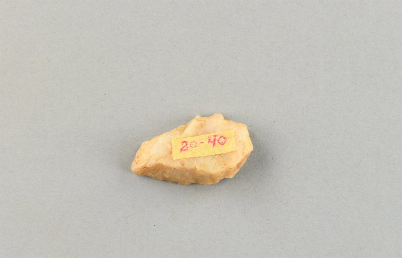 541256