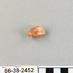 541293