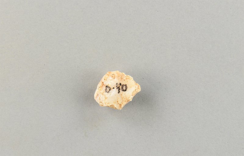 541561