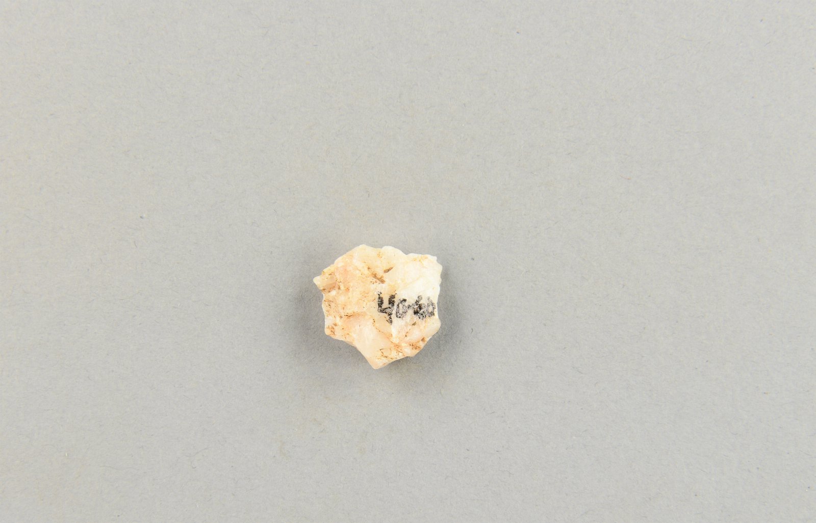 541686