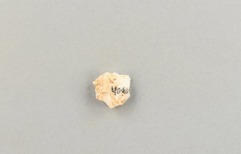 541686