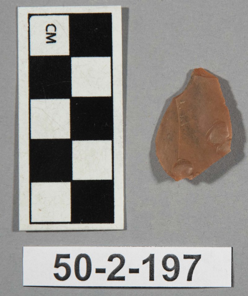 542006