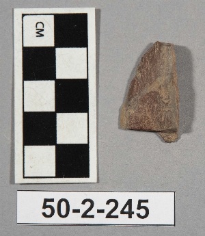 50-2-245