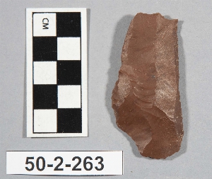 50-2-263