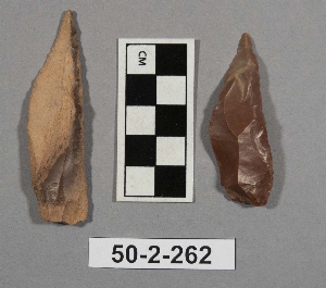 50-2-262