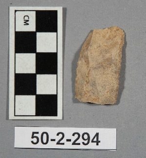 50-2-294