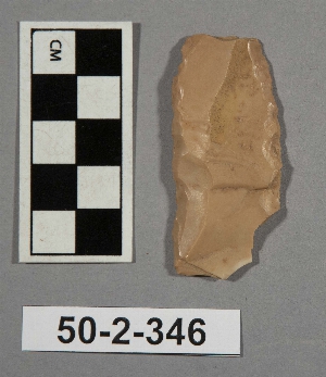 50-2-346