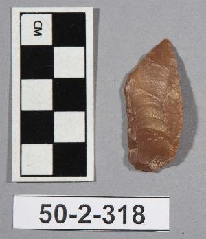 50-2-318