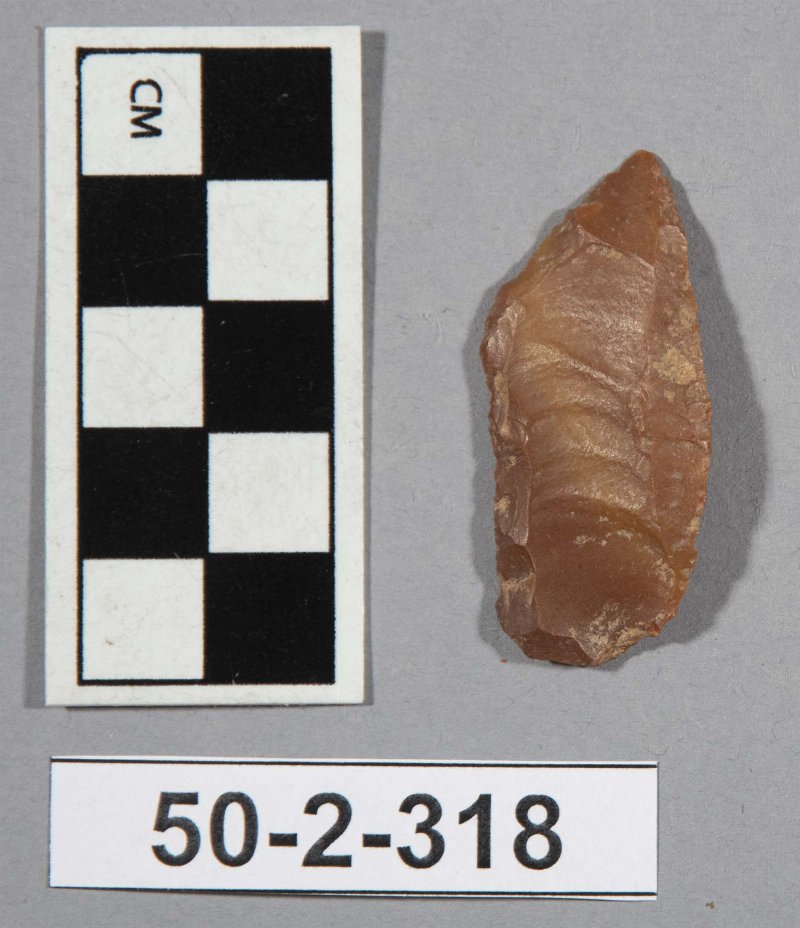 542219