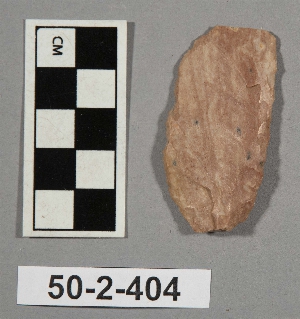 50-2-404