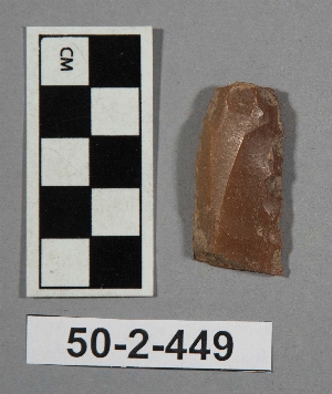 50-2-449