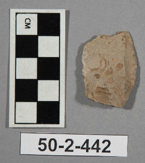 50-2-442