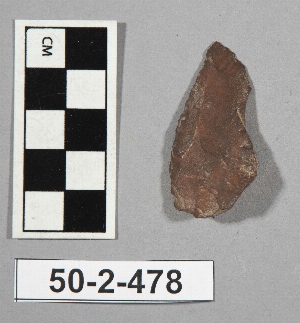 50-2-478