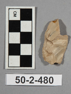 50-2-480