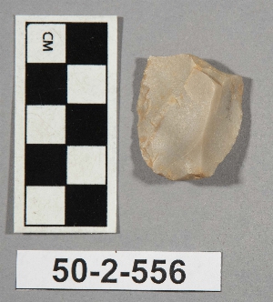 50-2-556