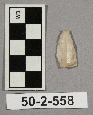 50-2-558
