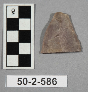 50-2-586