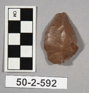50-2-592