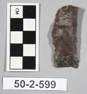 50-2-599