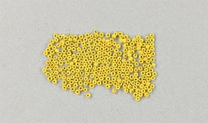 2003-82-243.19