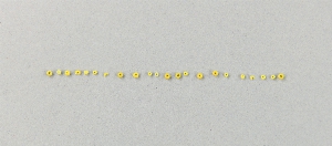 2003-72-210B.20