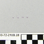 545025