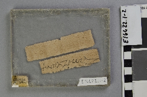 E16622