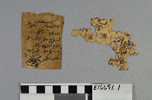 E16691