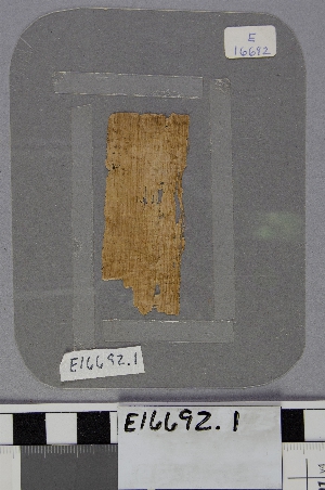 E16692