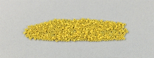 2003-82-244.7