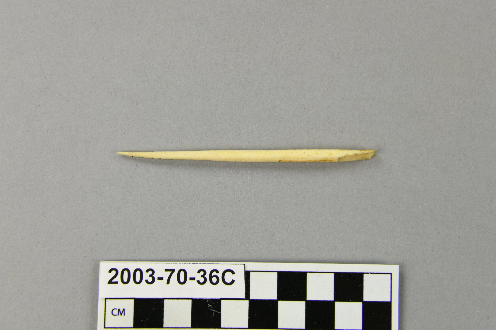 545582