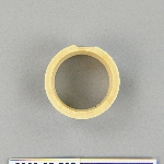 545647