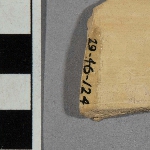 546031