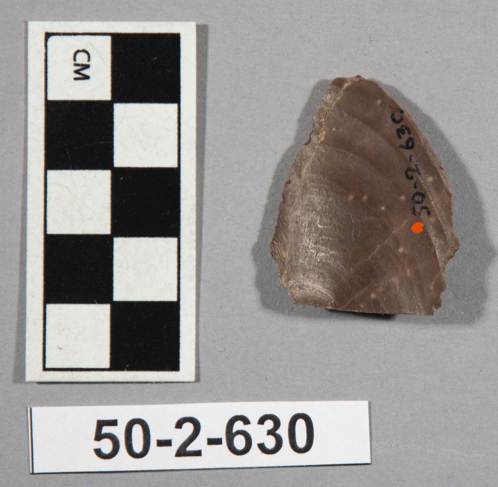 546184