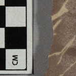546295