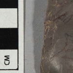 546312